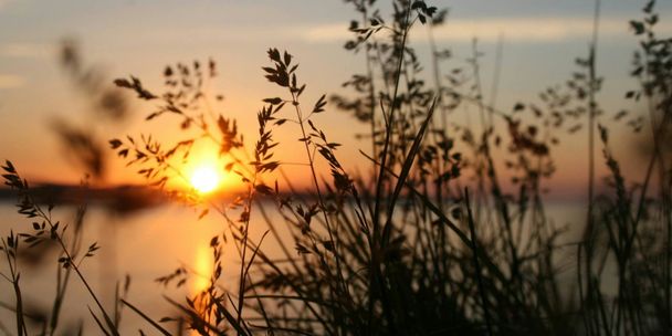Die Sonne geht hinter einem Gewässer unter. Im Vordergrund sind Gräser zu sehen.