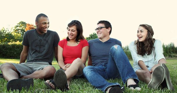 Vier fröhliche Menschen, die zusammen auf grünem Gras sitzen.